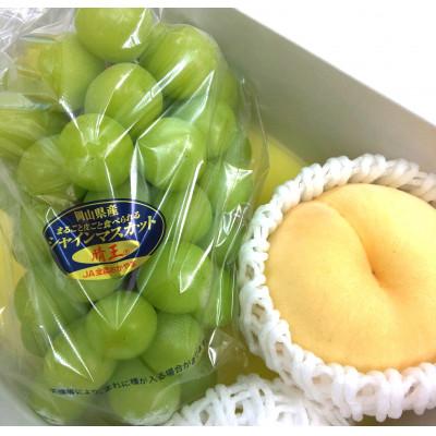ふるさと納税 玉野市 岡山県産フルーツ詰め合わせ(シャインマスカット1房、桃1個入)