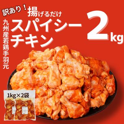 ふるさと納税 木城町 [訳あり]九州産若鶏手羽元 揚げるだけスパイシーチキン2kg K16_0154