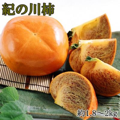 ふるさと納税 かつらぎ町 [希少]紀の川柿(たねなし)約1.8kg〜2kg 秀品(かつらぎ町)