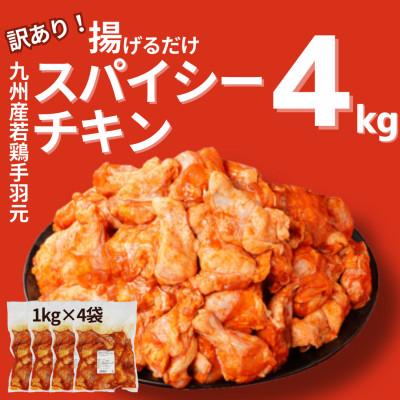 ふるさと納税 木城町 【訳あり】九州産若鶏手羽元 揚げるだけ