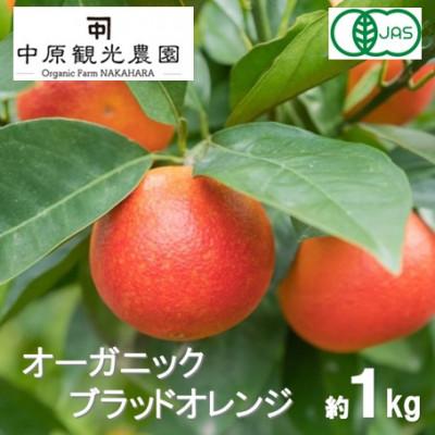 ふるさと納税 大崎上島町 [2月下旬〜3月発送] 大崎上島産 オーガニックブラッドオレンジ 約1kg (有機JAS認証)