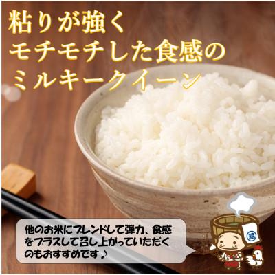ふるさと納税 あわら市 【令和7年産】ミルキークイーン 精米 2kg×3袋《お米マイスターが発送直前に精米!》 |  | 01