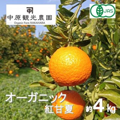 ふるさと納税 大崎上島町 [3月下旬〜4月発送]中原観光農園 大崎上島産 オーガニック紅甘夏 約4kg 有機JAS認証