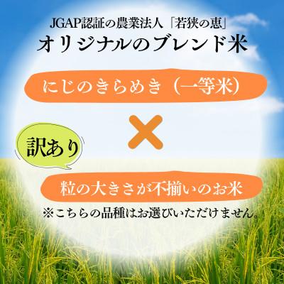 ふるさと納税 小浜市 令和8年産　農家応援米 10kg(10kg×1袋) |  | 01