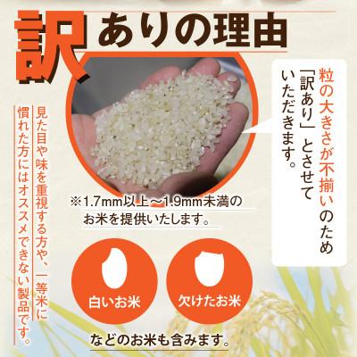 ふるさと納税 小浜市 令和8年産　農家応援米 10kg(10kg×1袋) |  | 02
