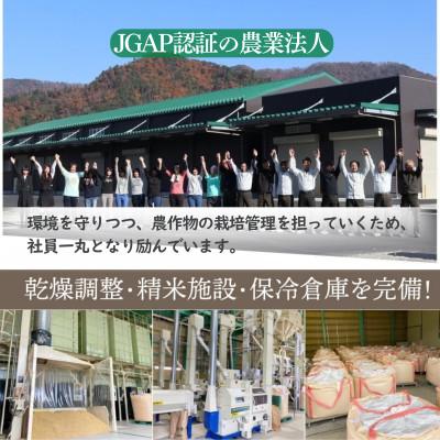 ふるさと納税 小浜市 令和8年産　農家応援米 10kg(10kg×1袋) |  | 03
