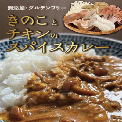 ふるさと納税 唐津市 [グルテンフリー三銃士]スパイスカレーパスタソースドリアソース各2個、6個セット