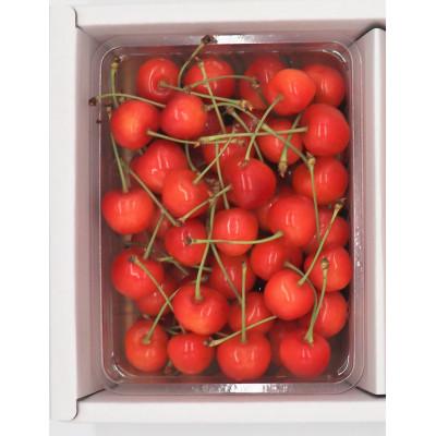 ふるさと納税 村山市 紅秀峰L玉 500g