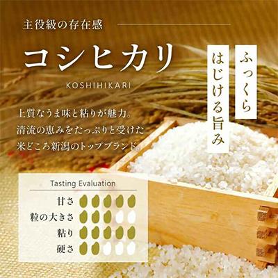 ふるさと納税 見附市 【令和7年産 】新潟県産 コシヒカリ 5kg 無洗米