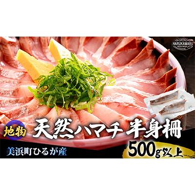 ふるさと納税 美浜町 天然!地物!ひるがのハマチ 柵2本[合計500g以上]