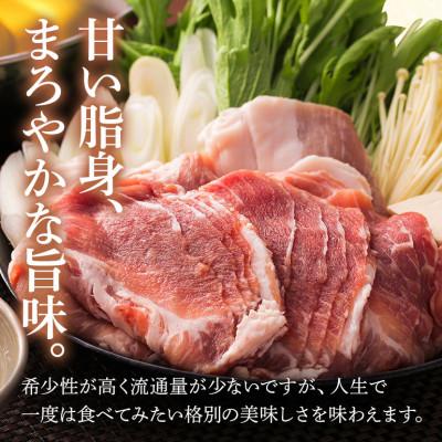 ふるさと納税 糸満市 美ら島あぐー豚 肩ロース スライス 600g 真空パック |  | 01