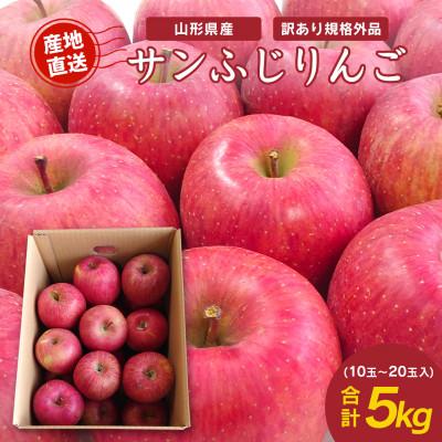 ふるさと納税 寒河江市 [2025年産]訳あり規格外 山形県産 サンふじ りんご 5kg (10〜20玉入)