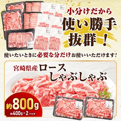 ふるさと納税 宮崎市 宮崎県産豚肉セット 4.2kg(宮崎市) : Yahoo