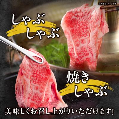 ふるさと納税 宮崎市 宮崎牛しゃぶしゃぶ切り落とし(400g×3p)1.2kg(宮崎市) |  | 02