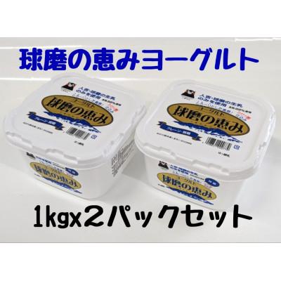ふるさと納税 錦町 球磨の恵みヨーグルト(加糖) 2kg