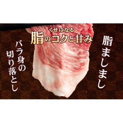 ふるさと納税 上峰町 佐賀牛入り牛切落し1.5kg(500g×3)佐賀牛1P 他和牛2P(上峰町) |  | 02
