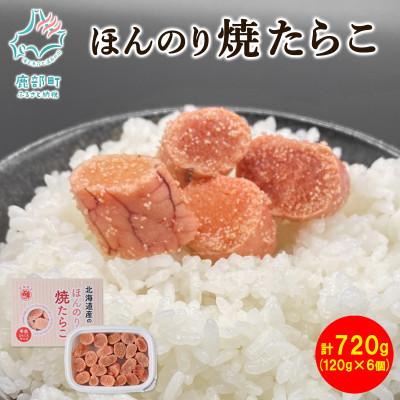 ふるさと納税 鹿部町 北のハイグレード食品2021 北海道産ほんのり焼たらこ 120g×6個(720g) MC054-4S