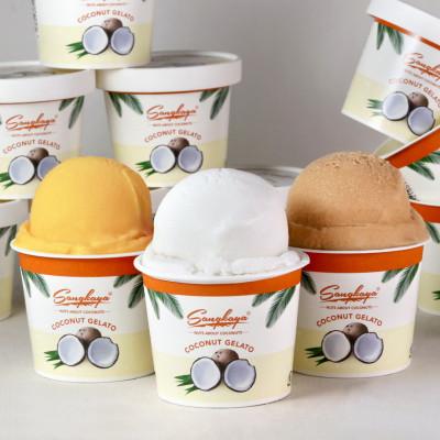 ふるさと納税 和歌山市 [卵、香料不使用]ココナッツジェラート食べ比べ8個セット