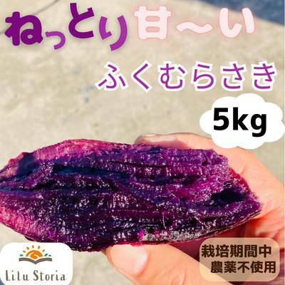 ふるさと納税 新庄市 ねっとり甘〜い『ふくむらさき』5kg 栽培期間中農薬・化学肥料不使用