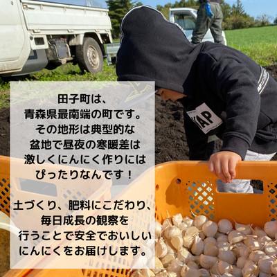 ふるさと納税 田子町 【農家直送】青森県田子町産乾燥にんにく M&L size 『500g』 |  | 01
