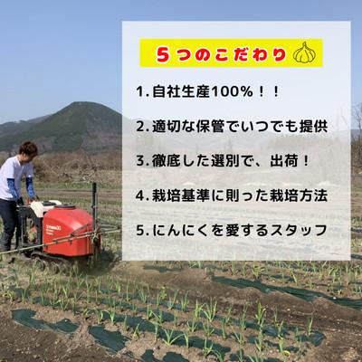 ふるさと納税 田子町 【農家直送】青森県田子町産乾燥にんにく M&L size 『500g』 |  | 02