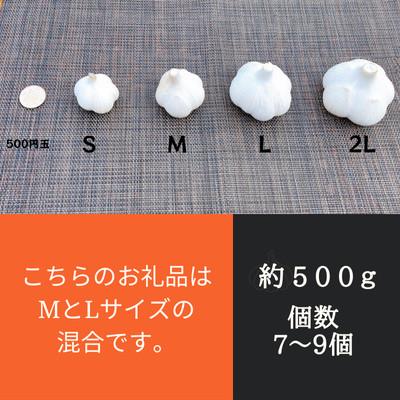 ふるさと納税 田子町 【農家直送】青森県田子町産乾燥にんにく M&L size 『500g』 |  | 03