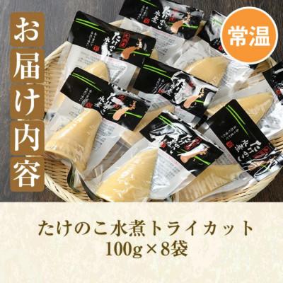 ふるさと納税 阿久根市 たけのこ水煮トライカット8袋(計800g・100g×8袋) 筍 【上野食品】a-12-194-zの画像