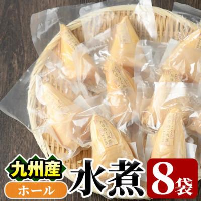 ふるさと納税 阿久根市 たけのこ水煮ホール(計800g・100g×8袋) 【上野食品】a-12-193-z | 