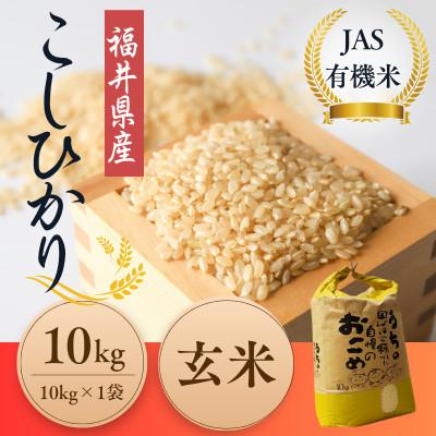 ふるさと納税 小浜市 令和8年産【新米】福井県産こしひかり JAS有機米