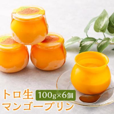 ふるさと納税 豊見城市 トロ生マンゴープリン(100g×6個)