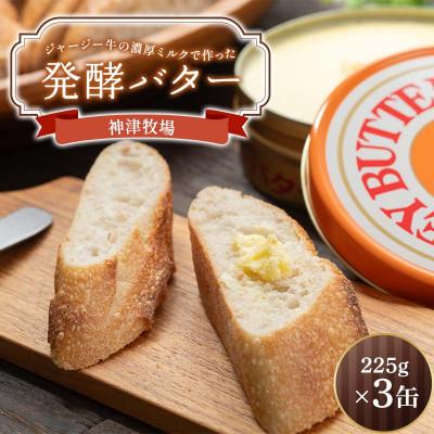 ふるさと納税 下仁田町 ジャージー牛の濃厚ミルクで作った神津発酵バター225g×3缶セット F21K-505
