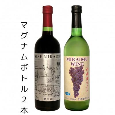 ふるさと納税 山梨市 未来夢ワイナリー ナチュラルワイン 甲州&amp;ヤマゾービニオン 2本