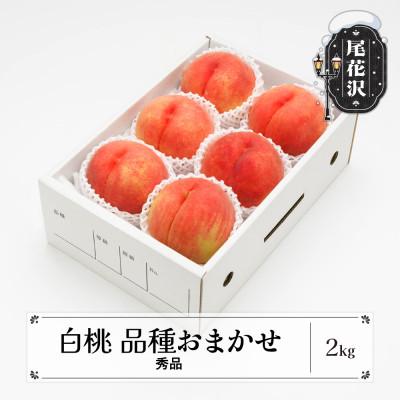 ふるさと納税 尾花沢市 先行受付 白桃 秀品 品種おまかせ 2kg 化粧箱入 令和8年産 山形県産 ns-mohtx2