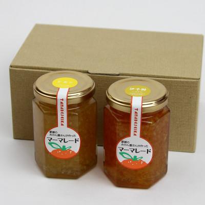 ふるさと納税 松山市 愛媛のみかん屋さんが作ったマーマレード 150g×2個