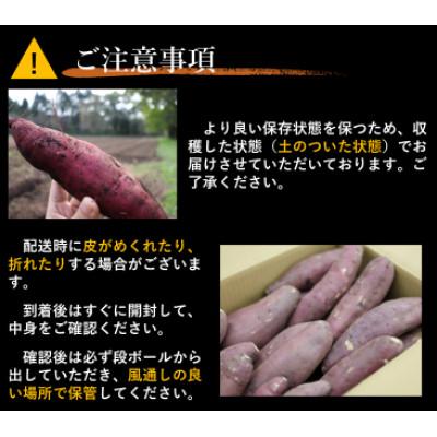 ふるさと納税 西脇市 先行予約!訳あり超熟成蜜芋 土付き不揃いさつまいも「こいもあまいも」2Sサイズ 約6kg(紅はるか) |  | 02
