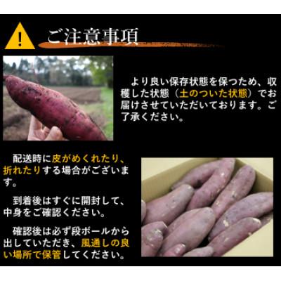 ふるさと納税 西脇市 先行予約!訳あり超熟成蜜芋 土付き不揃いさつまいも「こいもあまいも」3Sサイズ 約8kg(紅はるか) |  | 02