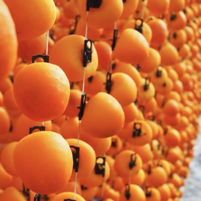 ふるさと納税 豊丘村 【生産農家直送】市田柿(干し柿)　ご家庭用　1kg |  | 01