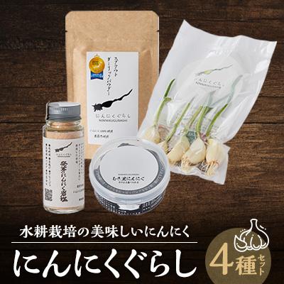 ふるさと納税 豊川市 にんにくぐらしセット