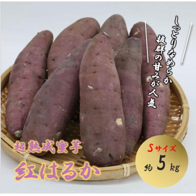 ふるさと納税 西脇市 先行予約!超熟成蜜芋「こいもあまいも」 Sサイズ 約5kg(紅はるか)