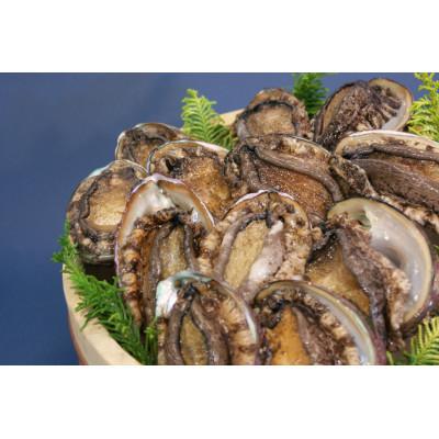 ふるさと納税 古平町 北海道産　エゾあわび　300g(4-6個) |  | 02