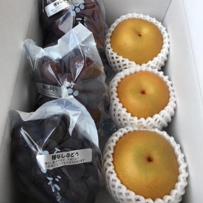 ふるさと納税 有田川町 【産地直送】たねなし巨峰と梨(品種おまかせ)のセット【先行予約　2027年度発送分】 |  | 02
