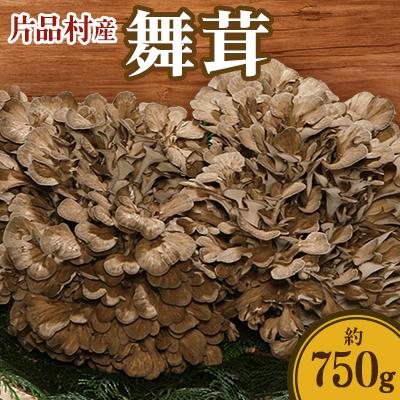 ふるさと納税 片品村 片品村産舞茸 約750g