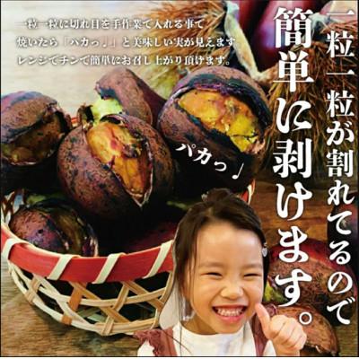 ふるさと納税 上天草市 焼き栗専門店 美むらの焼き栗(500g) |  | 02