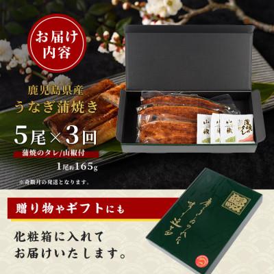 ふるさと納税 指宿市 【全3回定期便・奇数月】鹿児島県産うなぎ蒲焼じっくり焼き約165g×5尾(IBZ021-004)_3