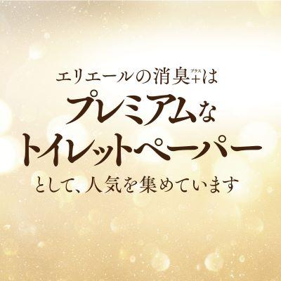 ふるさと納税 津山市 エリエール消臭+トイレットティシュー ダブル 72ロール(12ロール×6パック) トイレットペーパー |  | 01