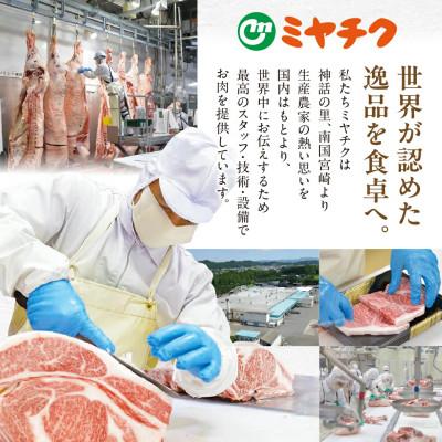 ふるさと納税 都城市 宮崎牛ロースステーキ 4枚 【計1000g】(都城市) |  | 03
