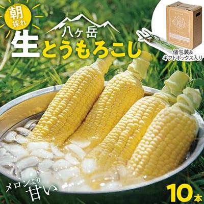 ふるさと納税 茅野市 【27年先行予約】朝採れ 八ヶ岳生とうもろこし 10本〈2027年7月下旬〜9月下旬発送予定〉 | 