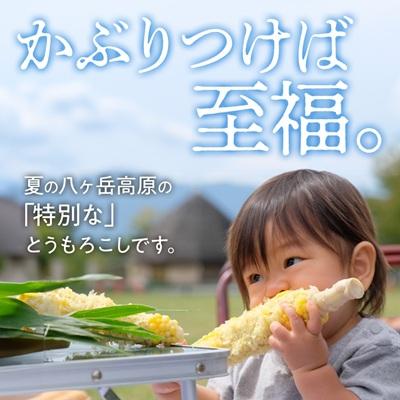 ふるさと納税 茅野市 【27年先行予約】朝採れ 八ヶ岳生とうもろこし 10本〈2027年7月下旬〜9月下旬発送予定〉 |  | 01