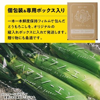 ふるさと納税 茅野市 【27年先行予約】朝採れ 八ヶ岳生とうもろこし 10本〈2027年7月下旬〜9月下旬発送予定〉 |  | 03