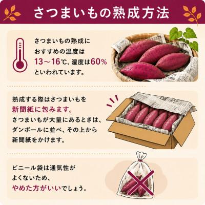 ふるさと納税 取手市 【先行受注・数量限定】10月中旬より順次発送　訳アリ 5kg 茨城県産 安納芋 |  | 03